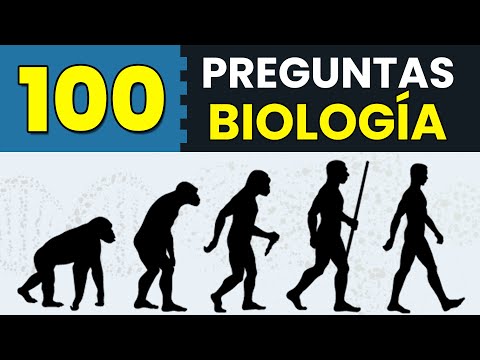 Video: ¿Qué sucede durante el concurso de traducción de biología?