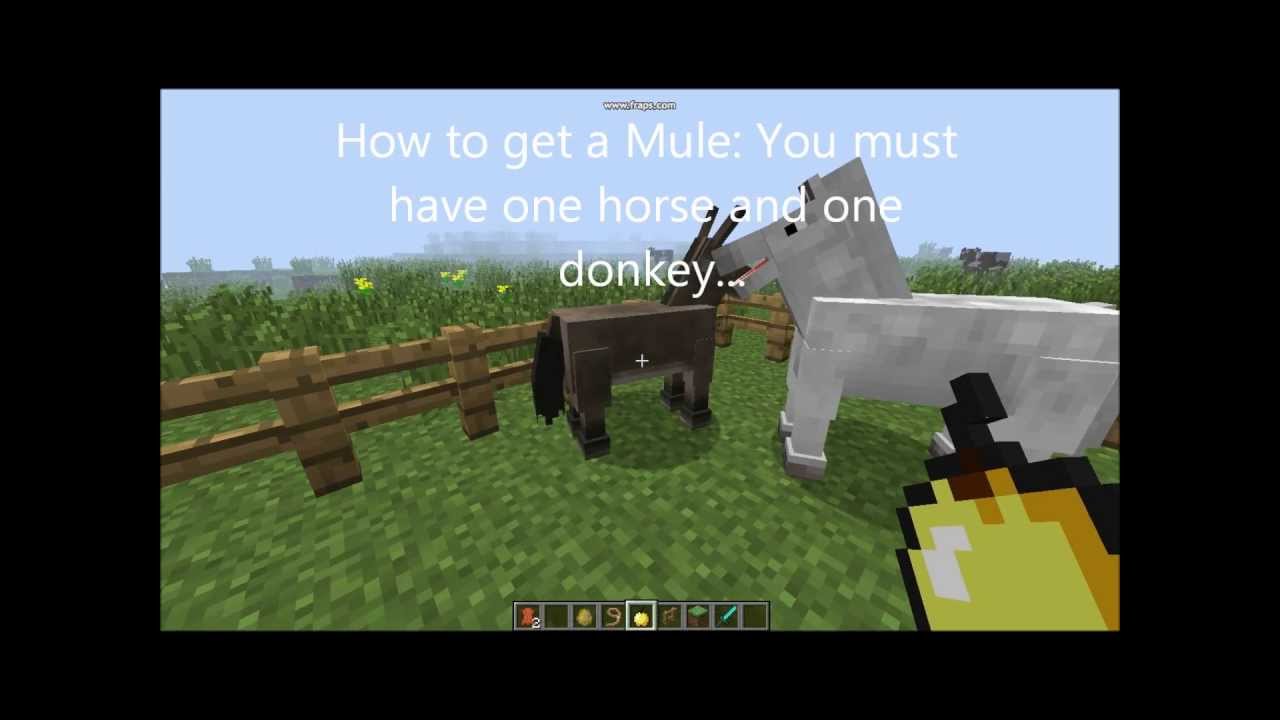 How to get a mule in minecraft - YouTube