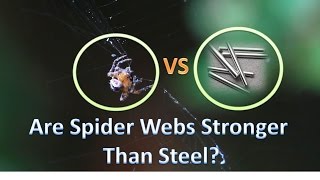 Are Spider Webs Actually Stronger Than Steel? | Experiment
