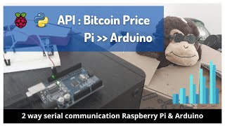 Pi to Arduino Serial over USB