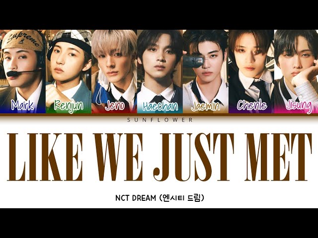 [SUB INDO] NCT DREAM (엔시티 드림) - LIKE WE JUST MET class=