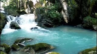 video gratis pemandangan alam sungai no copyright