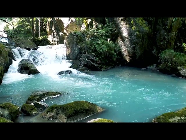video gratis pemandangan alam sungai no copyright class=