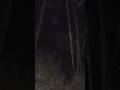 ভুতুড়ে সরাসরি ভয়ংকর আক্রমণ #ghost #ghostified #haunted_house #horror #shorts #shortsfeed #ytshorts