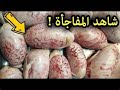 هل تعلم ماذا يحدث لجسمك اذا أكلت خصية الخروف أو خصية العجل ؟ وحكم أكله