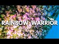 Rainbow Warrior wreck