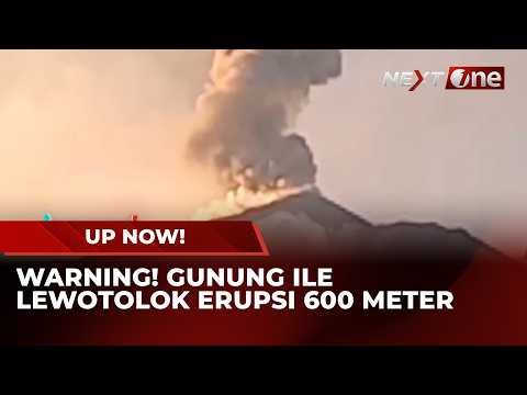 Alert! Mount Ile Lewotolok Erupts 600 Meters! PVMBG Urges Residents to Avoid Activities