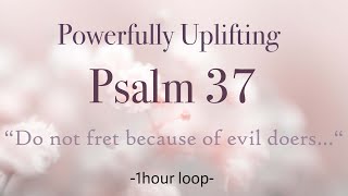 Psalm 37 - Powerfully Uplifting Scripture - „Do not fret because of evil doers“ - one hour loop