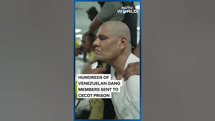 Trump Deports Alleged Venezuelan Gang Members To El Salvador’s Mega-Prison Despite Court Order