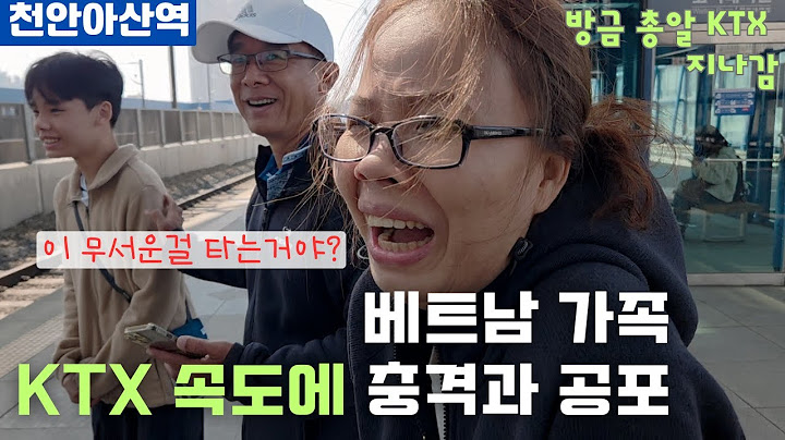 🇰🇷🇻🇳 베트남 가족, KTX 처음 타본 날! 충격과 공포로 경악｜국제커플 한국 여행