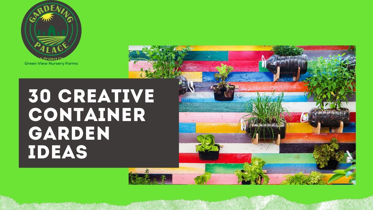30 Creative Container Garden Ideas Cheap Container Garden Ideas YouTube