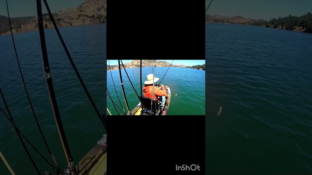 Berryessa bass fishing clips