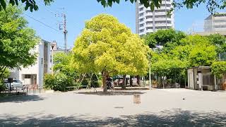 Taito Kuritsu Kanasogi Park