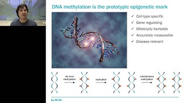 Paul Datlinger - DNA methylation analysis by multiplexed reduced representation bisulfite sequencing