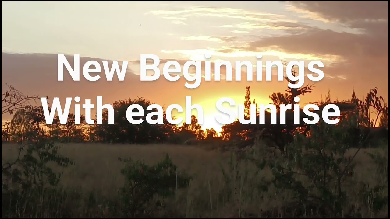 Nature Cycle