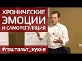 ГЕШТАЛЬТ. Хронические эмоции и саморегуляция. Антон Махновский.