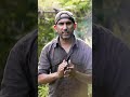 बक्सवाहा जंगल की कटाई पर रोक! NGT has stayed the felling of Buxwaha forest.