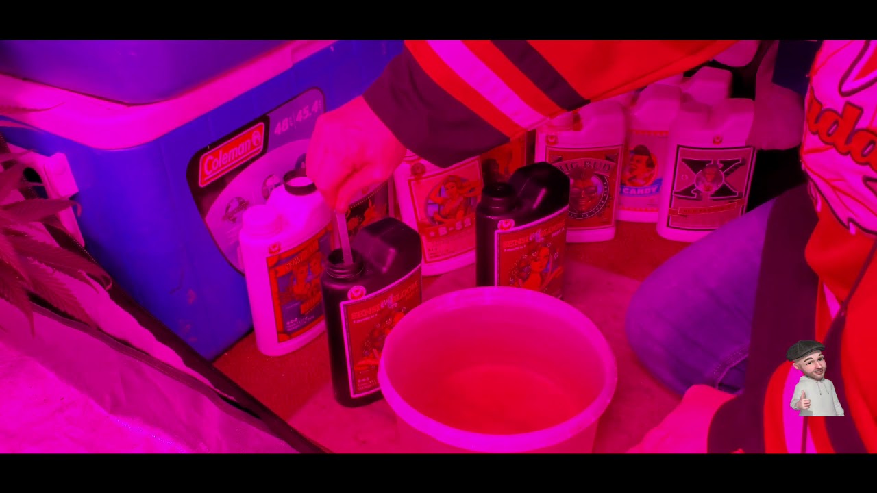 Time For Proud Canadian Cannabis    EH!!