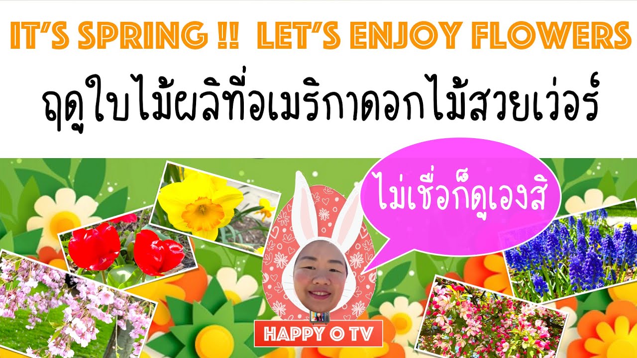 Spring Flowers In America I USA FUN EP 17 