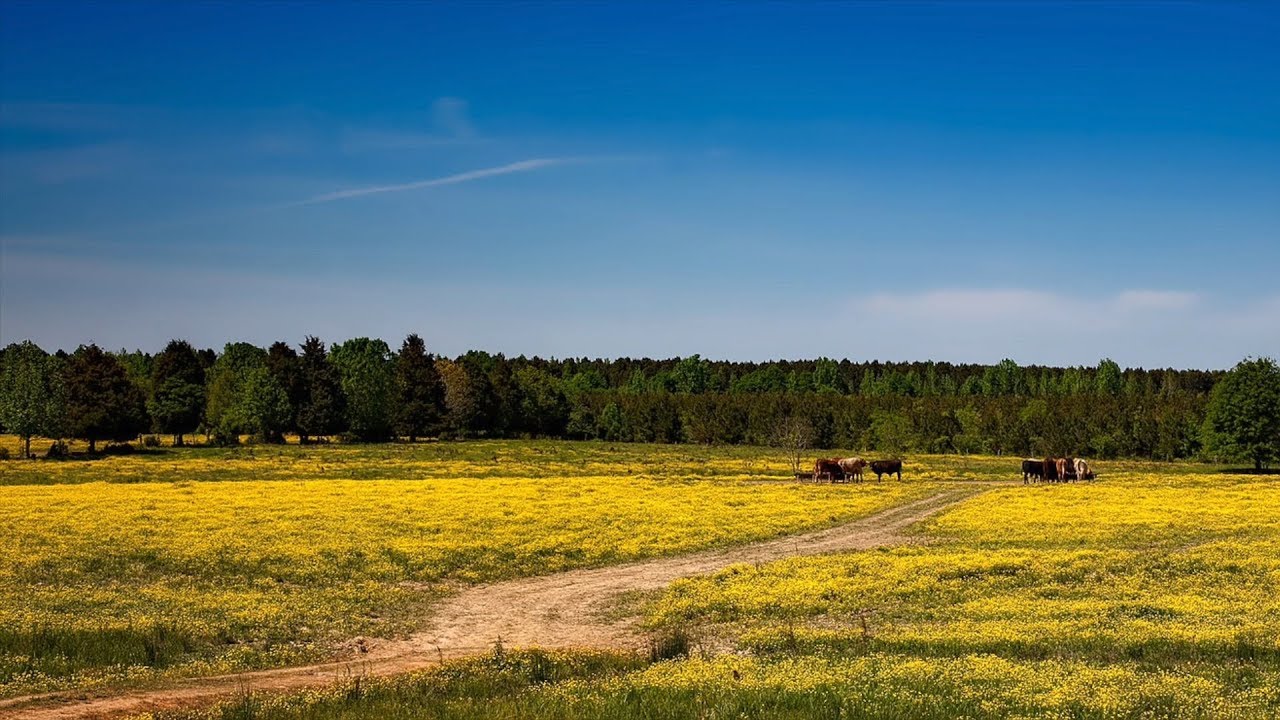 Franklin County FarmCity 2017 YouTube