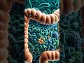 Stop Sugar Addiction NOW — No Diet Needed (Science-Backed Hacks!)