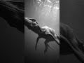 Deep Time: Expert Insights into Dinosaurs and Ancient Life