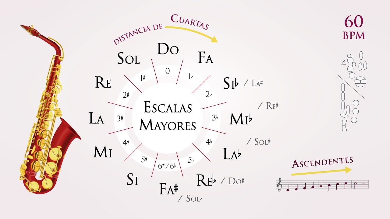 Practica n°2 🎷 12 ESCALAS MAYORES | bpm 60 | 𝘚𝘢𝘹𝘰 𝘈𝘭𝘵𝘰 𝘰 𝘉𝘢𝘳𝘪𝘵𝘰𝘯𝘰