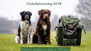 Dog Training (The Netherlands)