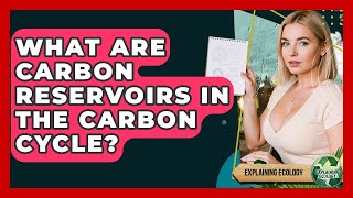 What Are Carbon Reservoirs In The Carbon Cycle? - Explaining Ecology