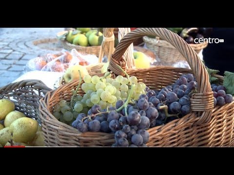 Festa das Vindimas em Viseu junta cultura ao vinho jornal do brasil