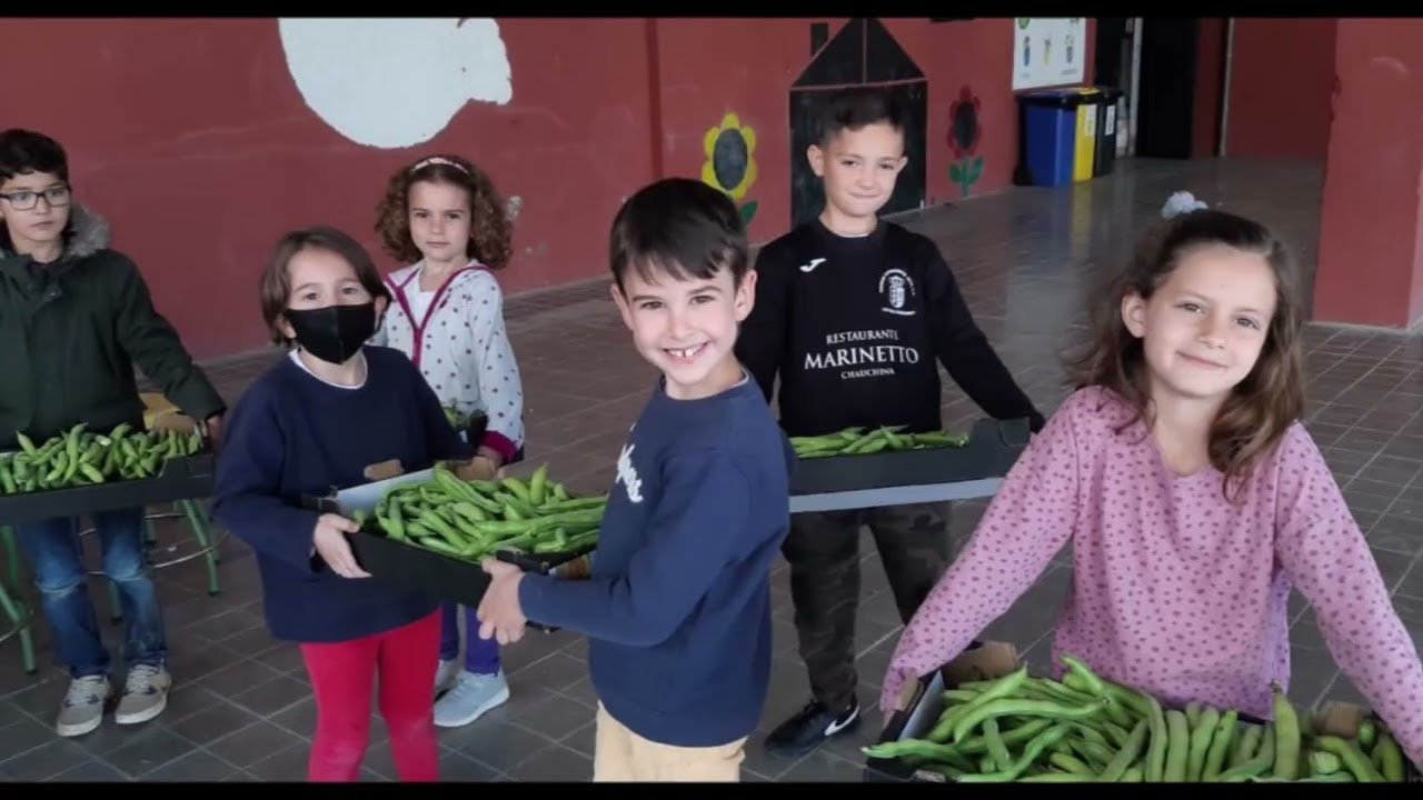 CEIP San Juan de Dios