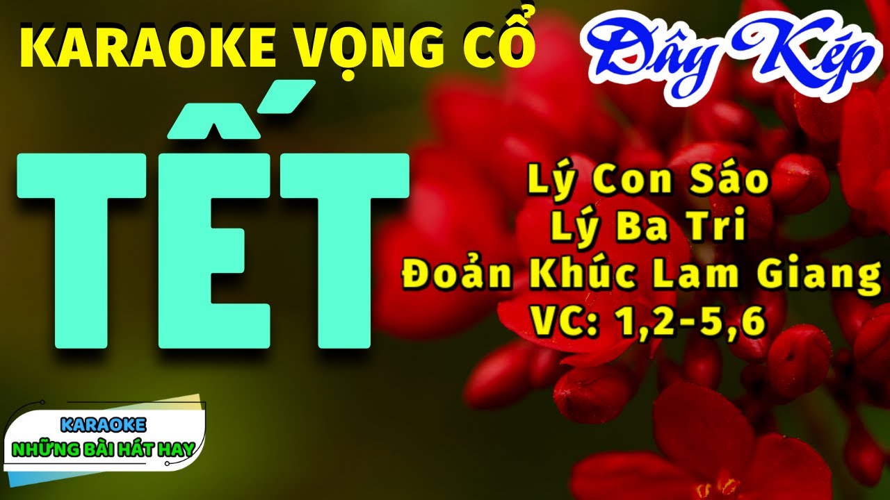Karaoke Vọng Cổ Tết I Dây Kép