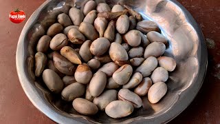 BIRYANI GRAVY : Jackfruit Seeds Curry | Panasa Ginjala Kura | Palakottai Porial