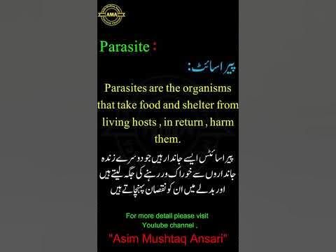 Define parasite -Definition of Parasite -The Terms To Know -Biology 9th
