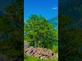 Beautiful Pakistan #shots #ytshorts #swatvalley