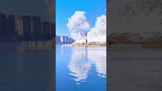 Jilin frost blossom 🌸#landscape #shorts #viewers #china #reels #trip #trading