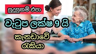 ලක්ෂ 9 යි. විදේශ රැකියා. සුදුසුකම් එපා. home support person foreign job vacancies in canada