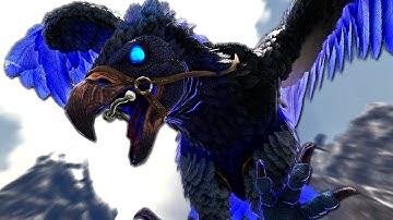 Whatever You Do, DON