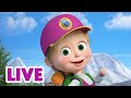 🔴 AO VIVO 👱♀️🐻 Masha e o Urso 🏞️ A grande missão ao ar livre 🚶🤸‍♂️ Masha and the Bear LIVE