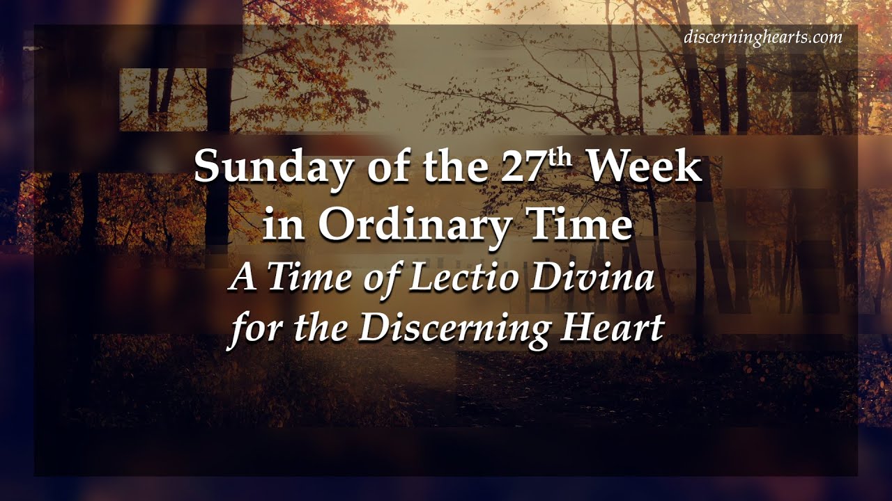 Sunday Of The 27th Week In Ordinary Time A Time Of Lectio Divina For sunday-of-the-27th-week-in-ordinary-time-a-time-of-lectio-divina-for