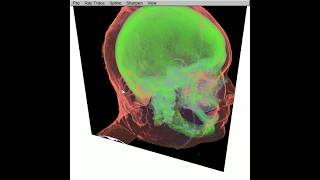 Demo - Direct Volume Rendering