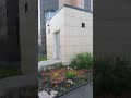 видос для трендов #meme #motivation #sports #спорт #youtubeshorts #automobile #мем #мемы #music