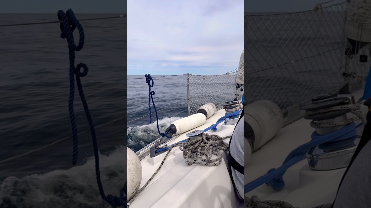 ⁣Day 29 coming home. Tranfering our new boat to Her new home harbor. #seafest #sailing #sailinglife