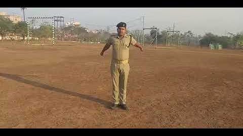 field signals of Section formation