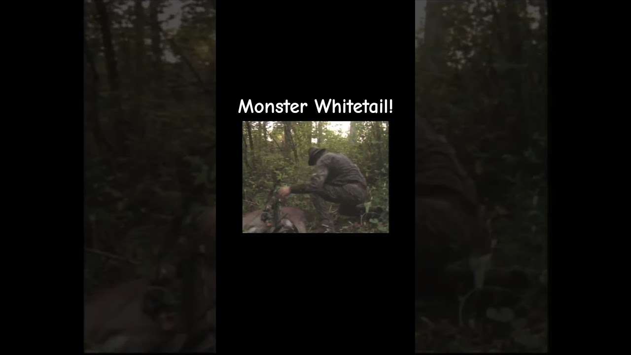 Классические кадры Роджера Рэглина!