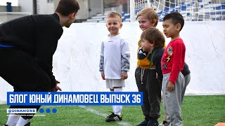 Блог "Юный Динамовец" #36