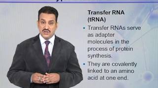 BIO731_Topic014