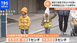 東京で初雪を観測 平年より９日遅く【Nスタ】