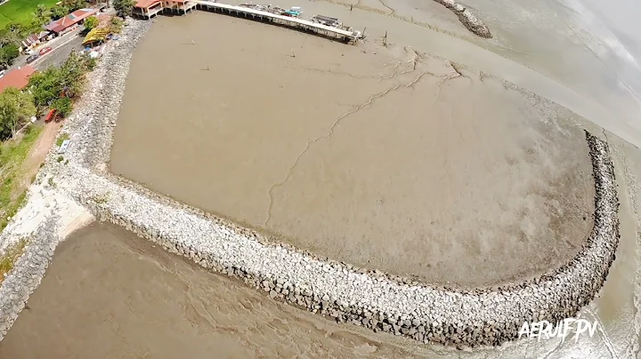 AxisFlying AF236 Strong Wind Test l GoPro Hero10 Black #emuflight #goprohero10#fpvfreestyle