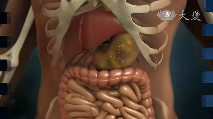 【發現】精華影片 - 20140118 - 人體奧秘系列 - 人體的消化工廠 - 腸 - 天天要聞